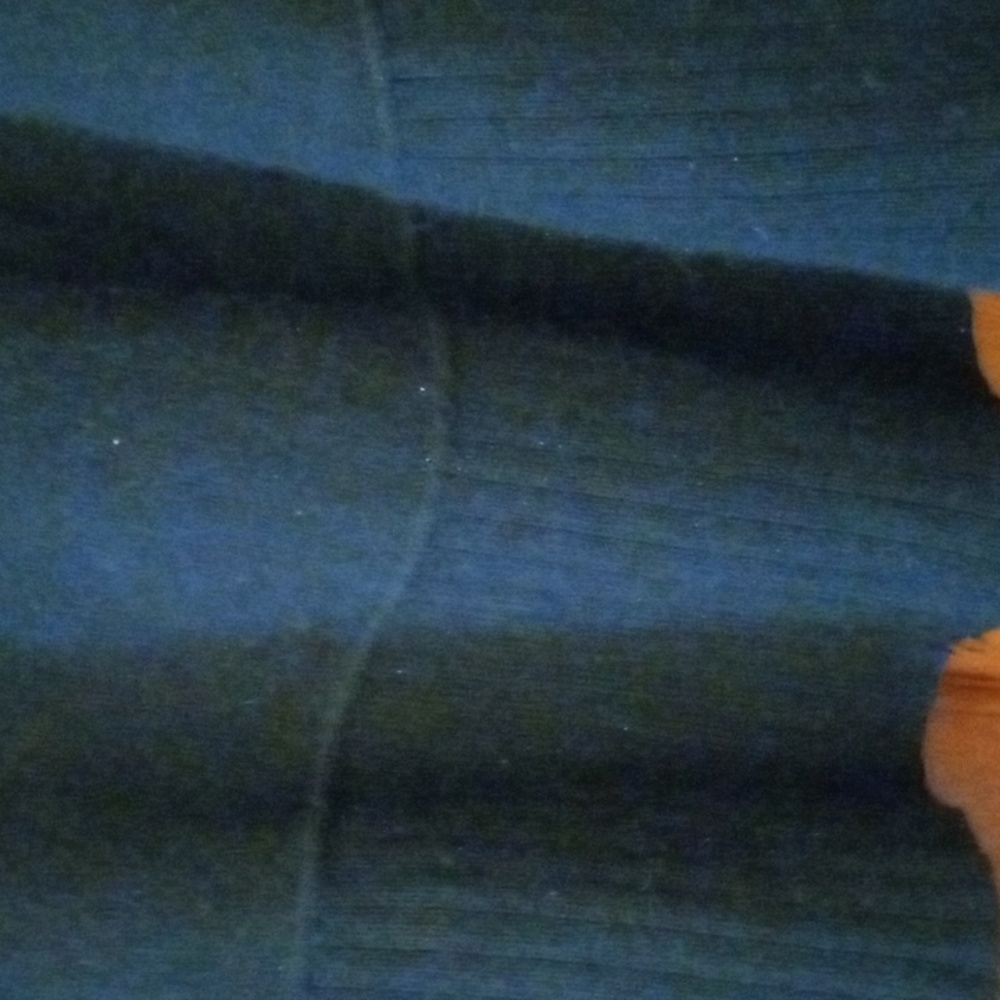 Cape